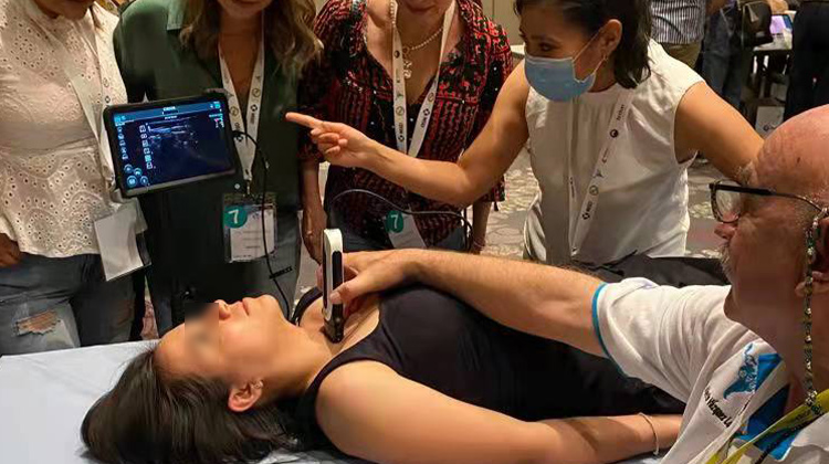 �ֳ�ʽ������׼ȷ����